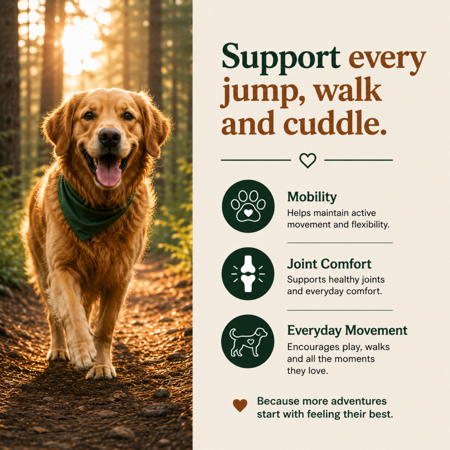 Paws & Whiskers wellness graphic featuring a golden retriever walking on a forest trail with messaging about mobility, joint comfort, and everyday movement.