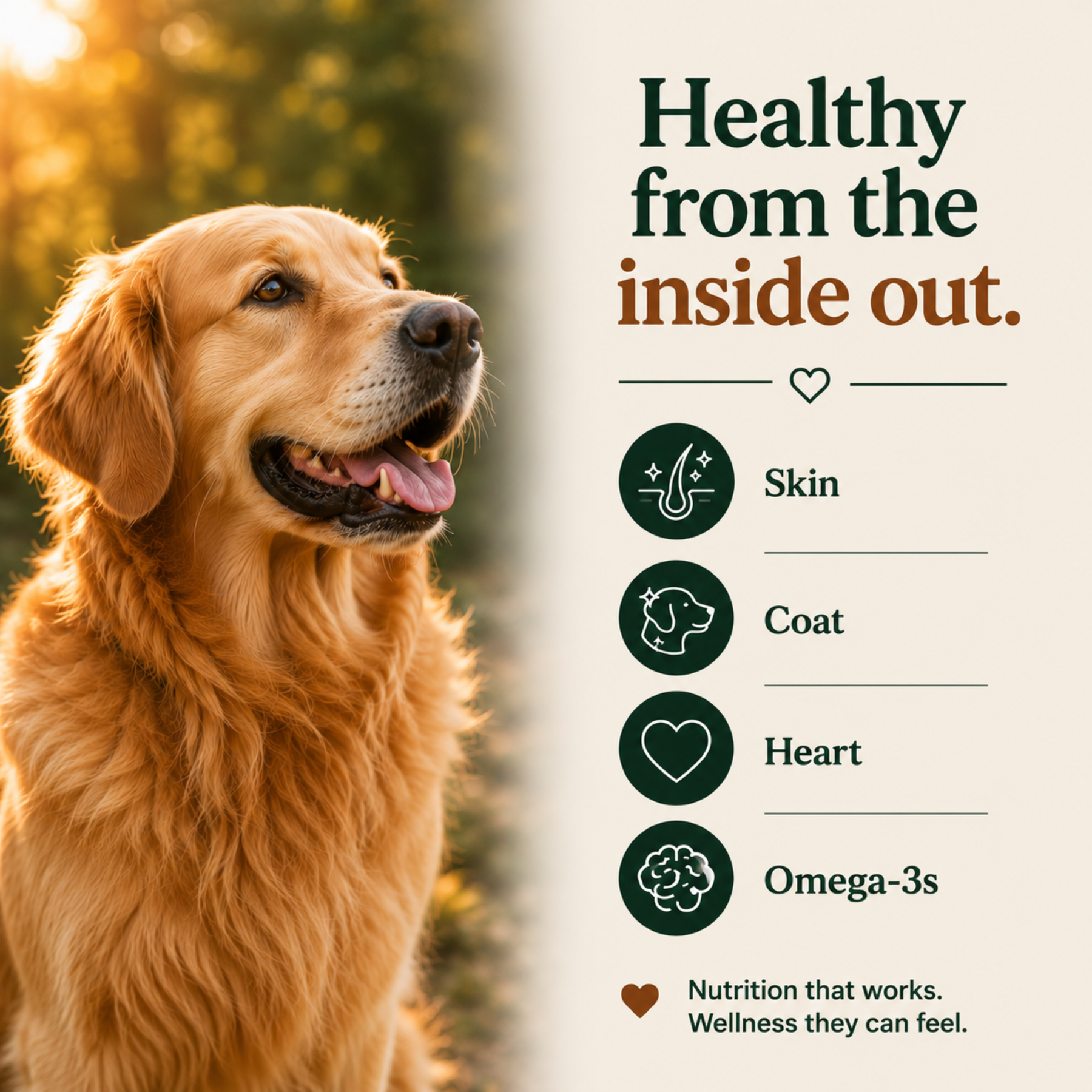 Paws & Whiskers wellness graphic featuring a golden retriever with messaging about skin, coat, heart health, and omega-3 nutrition.